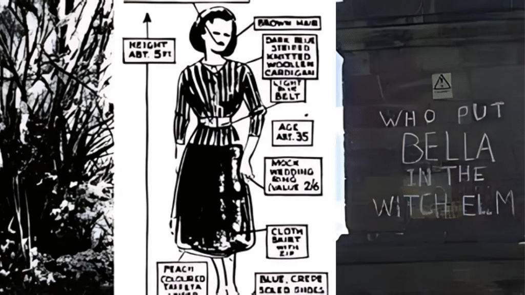 Composite image showing a sketch of Bella’s estimated appearance, a tree connected to the Bella in the Wych Elm case, and graffiti reading ‘Who put Bella in the Wych Elm,’ one of England’s most haunting unsolved mysteries.